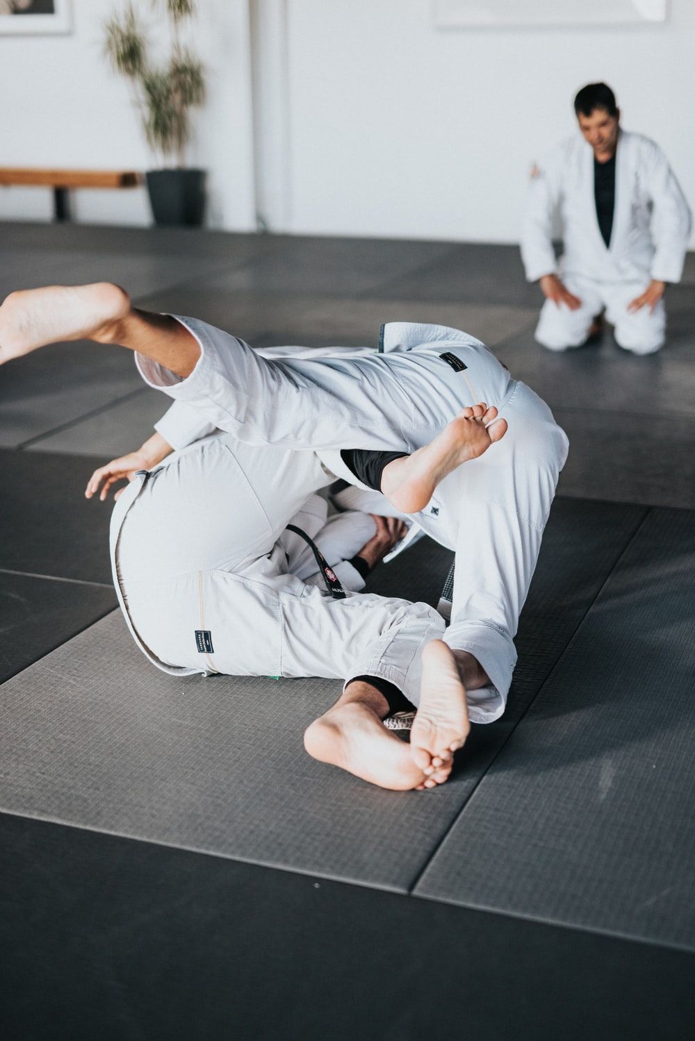 Judo Picture [HD]. Download Free Image