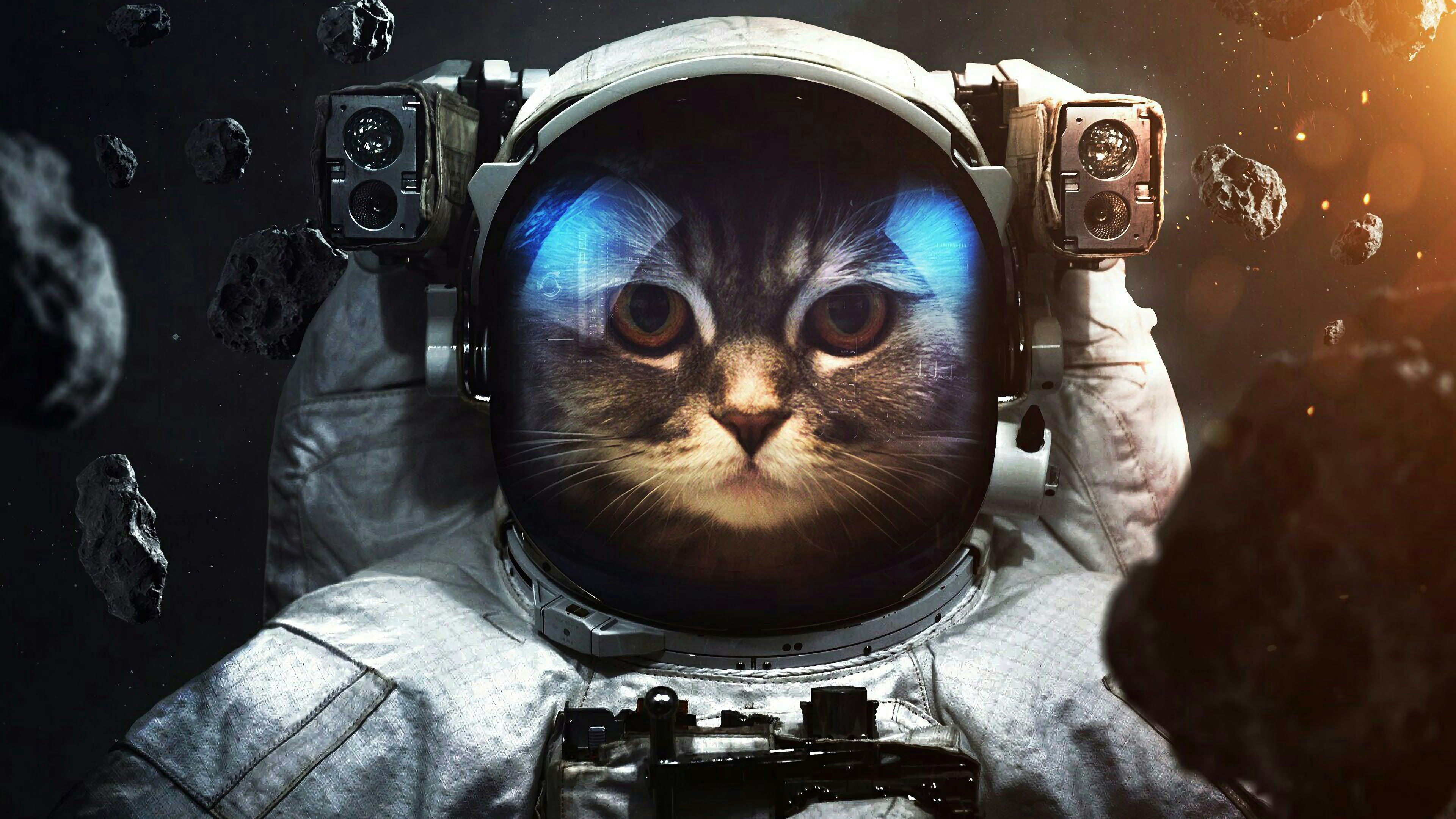Astronaut Cat Space 4K Wallpaper