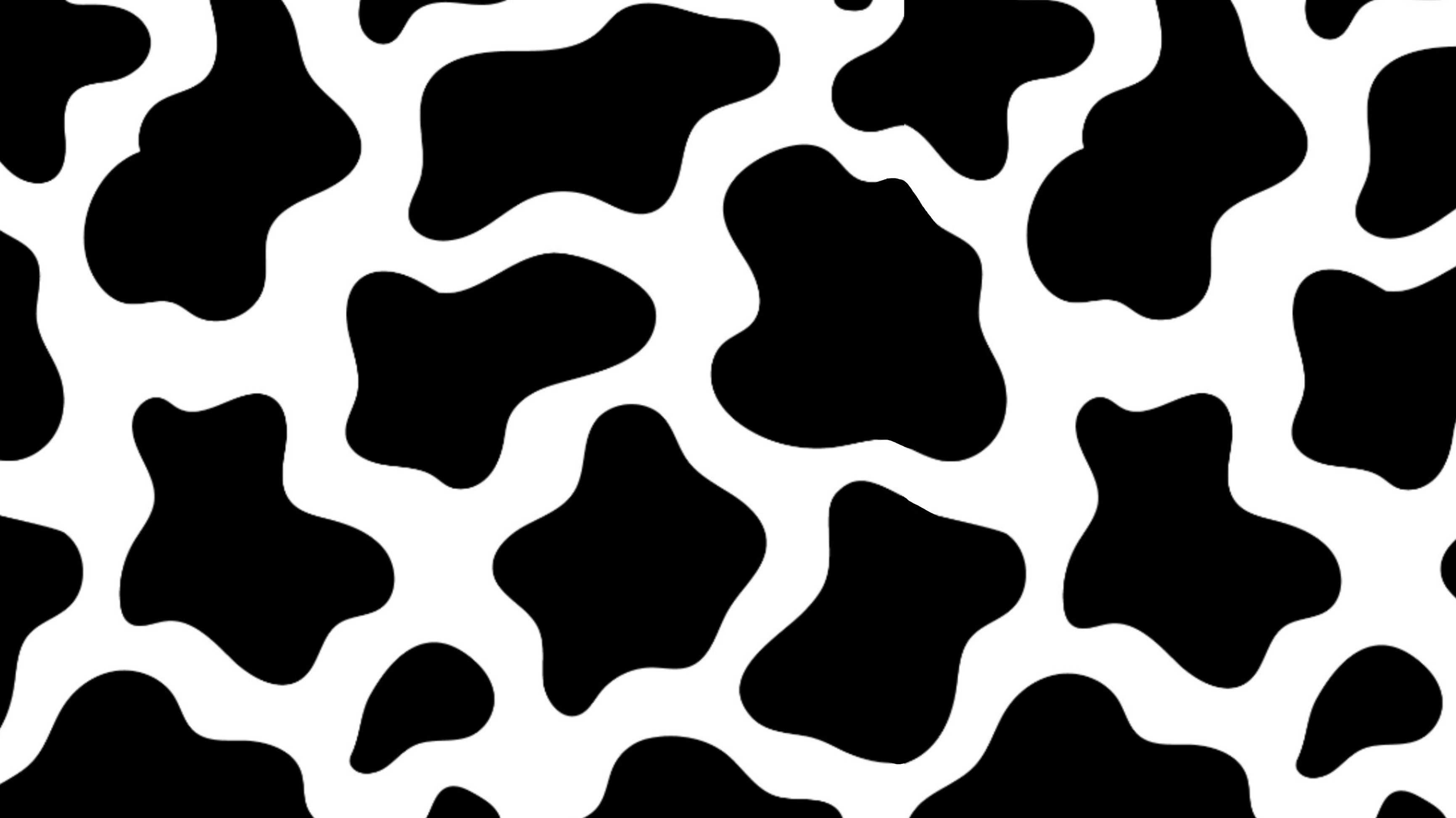 Cow Print Wallpaper 4K Free HD Wallpaper