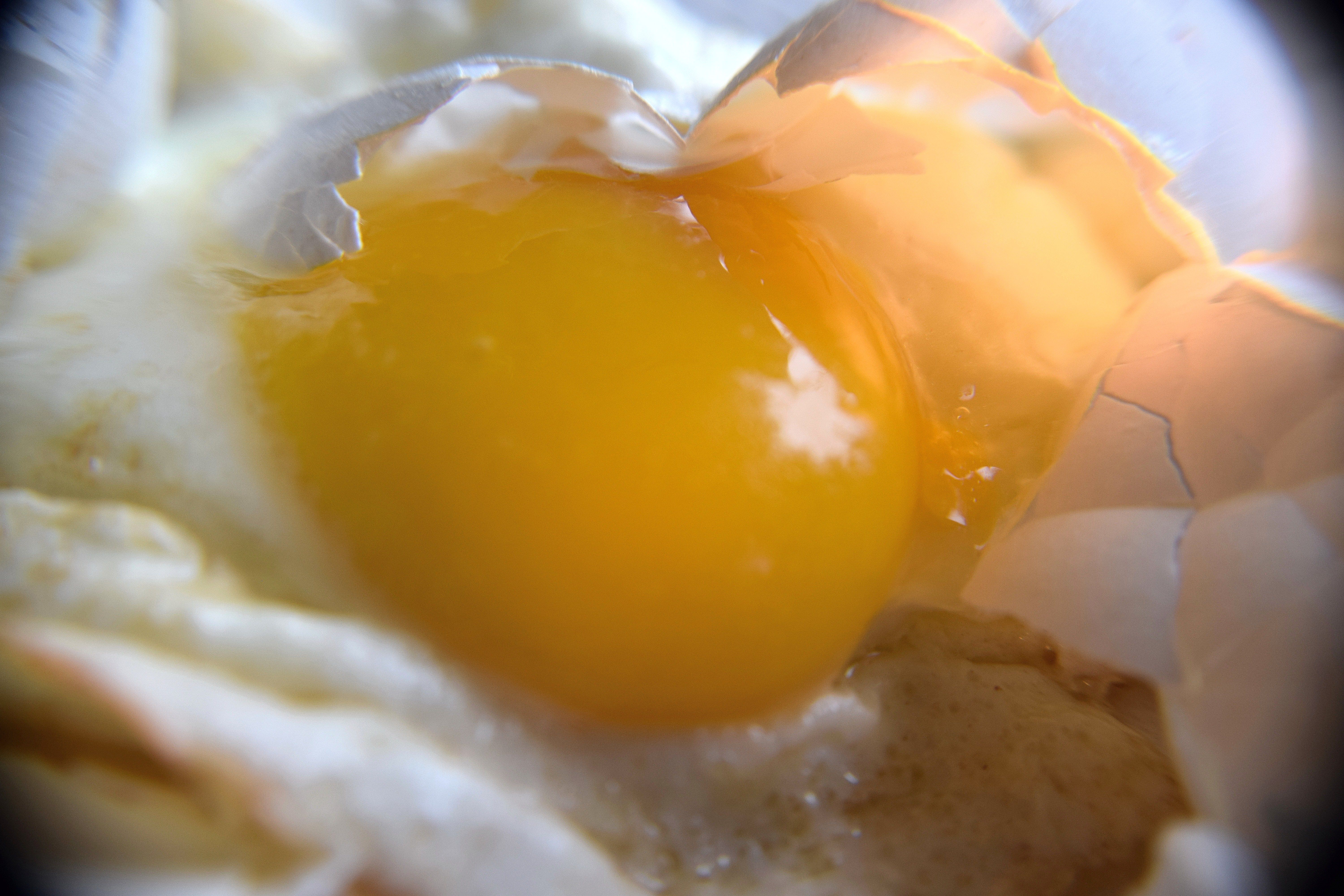 Wallpaper, egg yolk, poached egg, food, recipe, fried egg 6000x4000