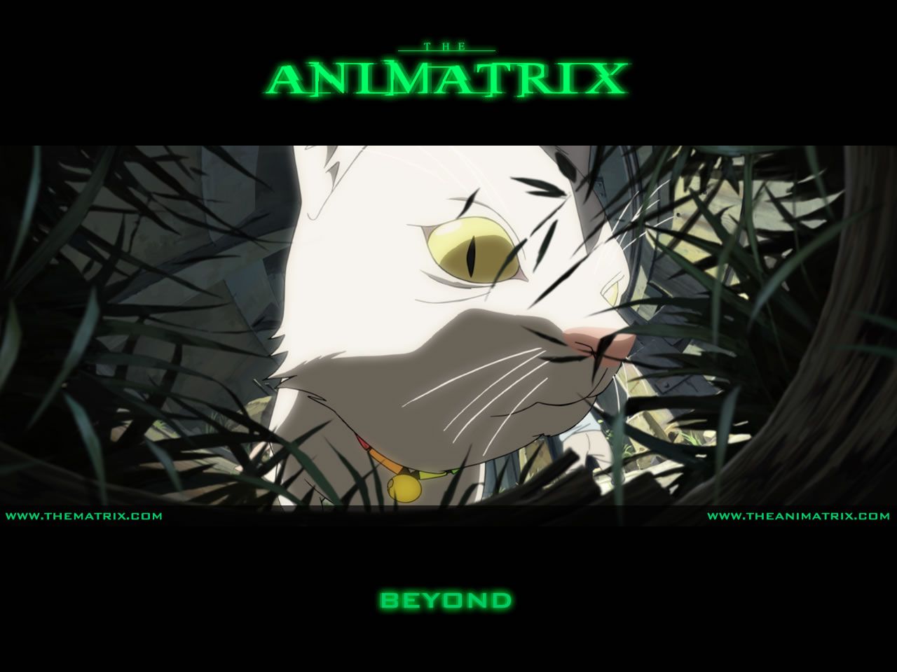 The Animatrix wallpaper, Anime, HQ The Animatrix pictureK Wallpaper 2019