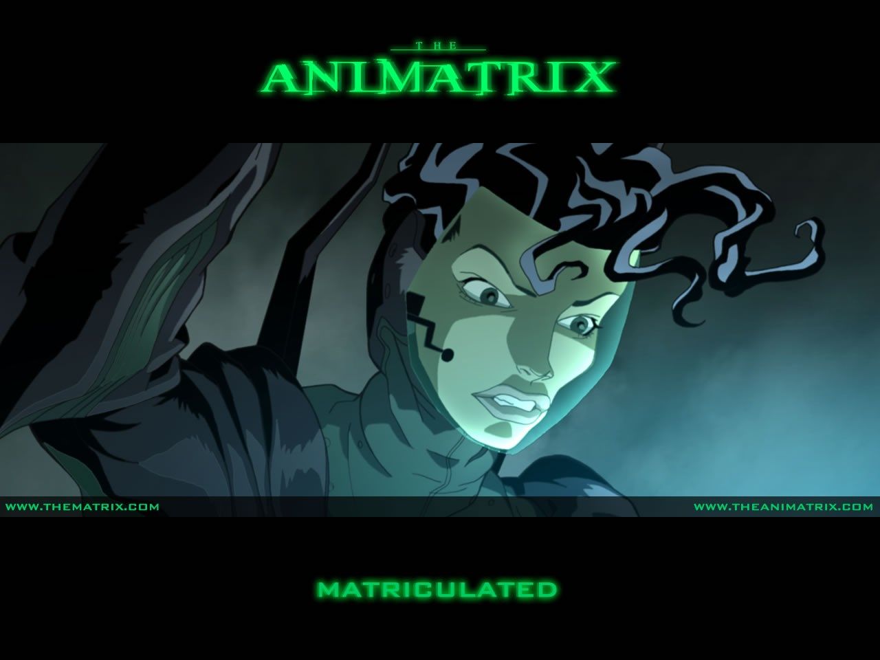 the animatrix HD wallpaper, background