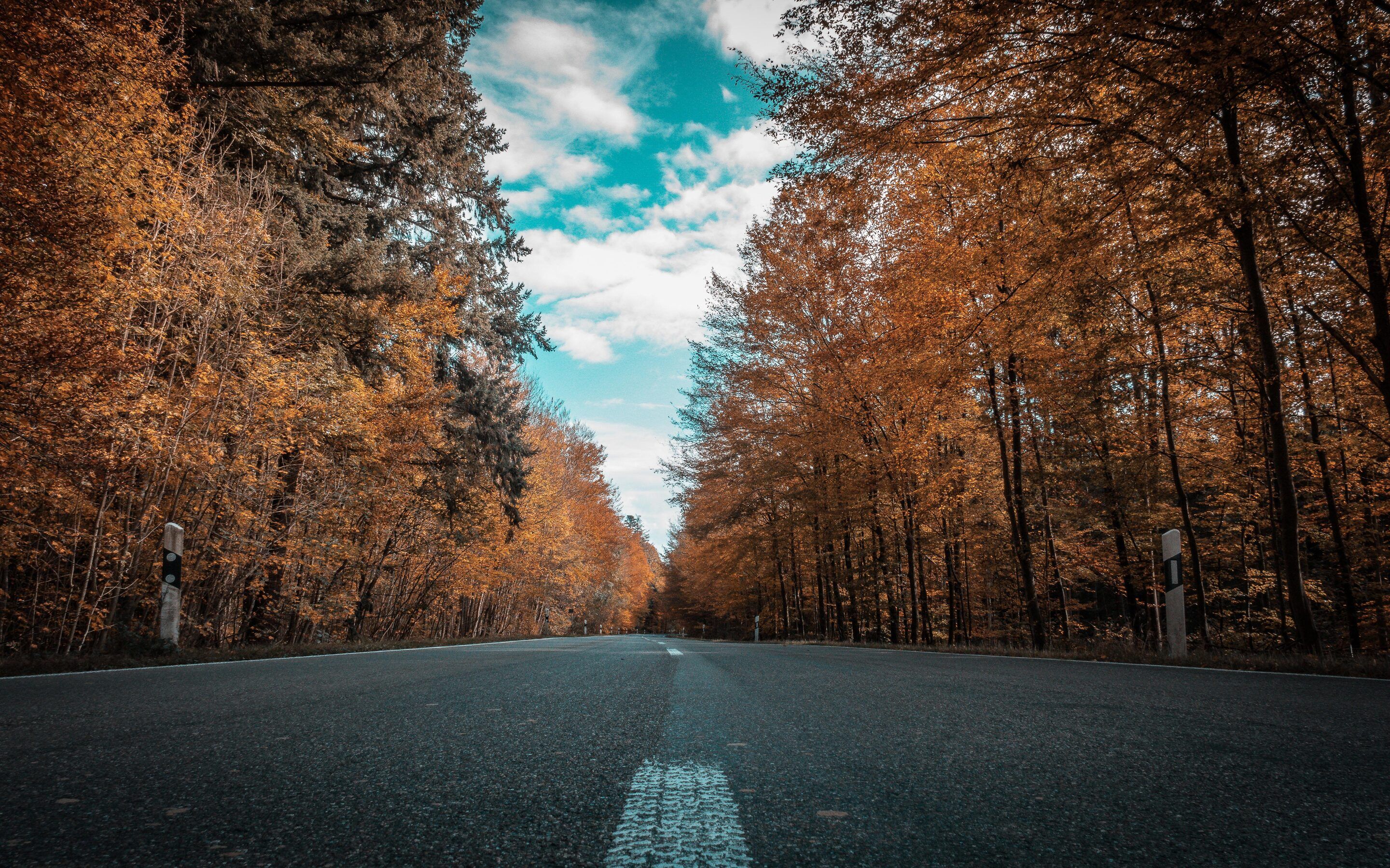 Alone Road Forest Autumn Golden Trees Ultra 4k Macbook Pro Retina HD 4k Wallpaper, Image, Background, Photo and Picture