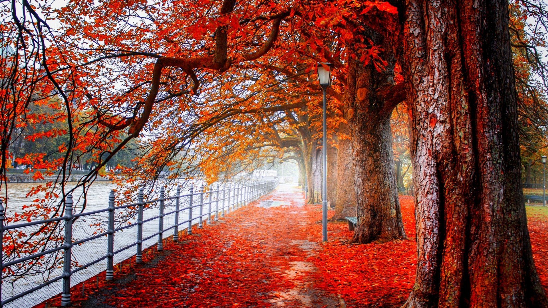 Autumn Park Pathway 4K Ultra HD Wallpaper