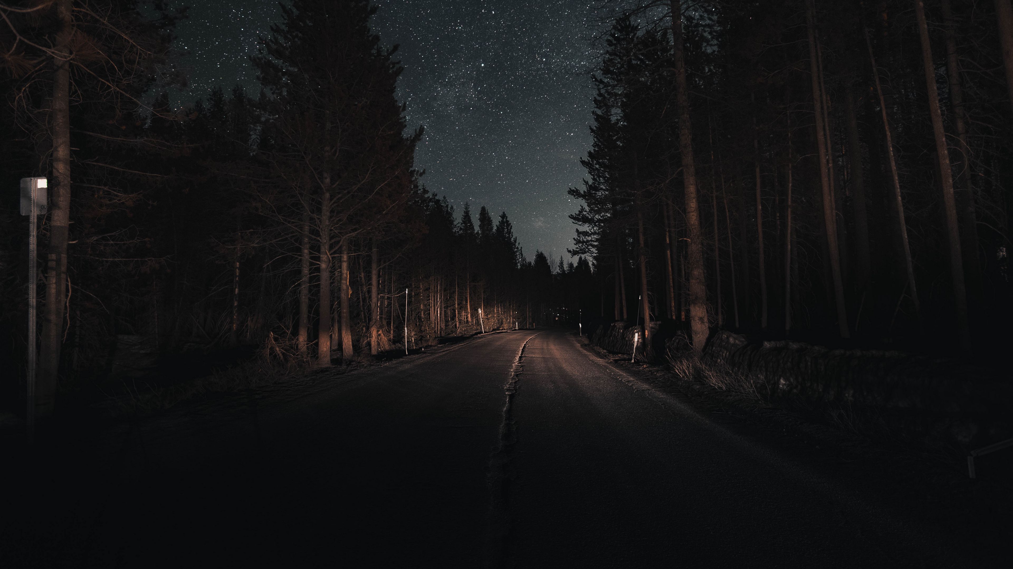 Download wallpaper 3840x2160 road, forest, night, starry sky, turn 4k uhd 16:9 HD background