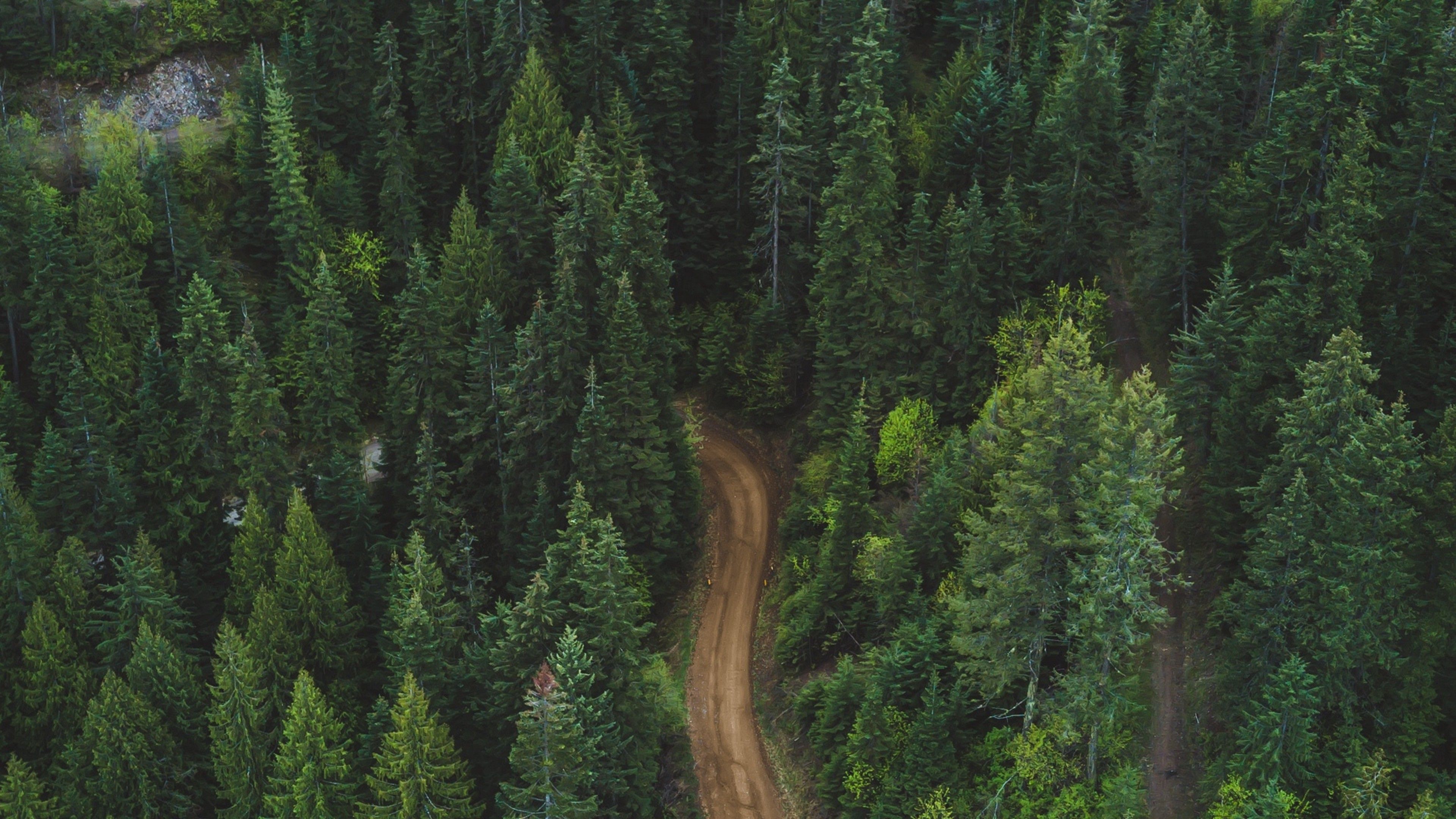 Aerial view of a road inside the forest HD Wallpaper 4K Ultra HD