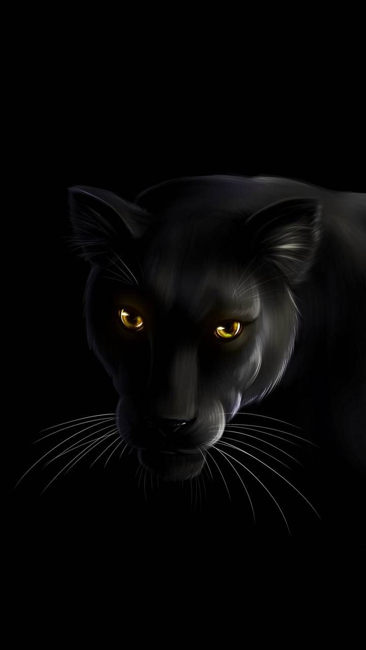 Cat Black Panther Wallpaper