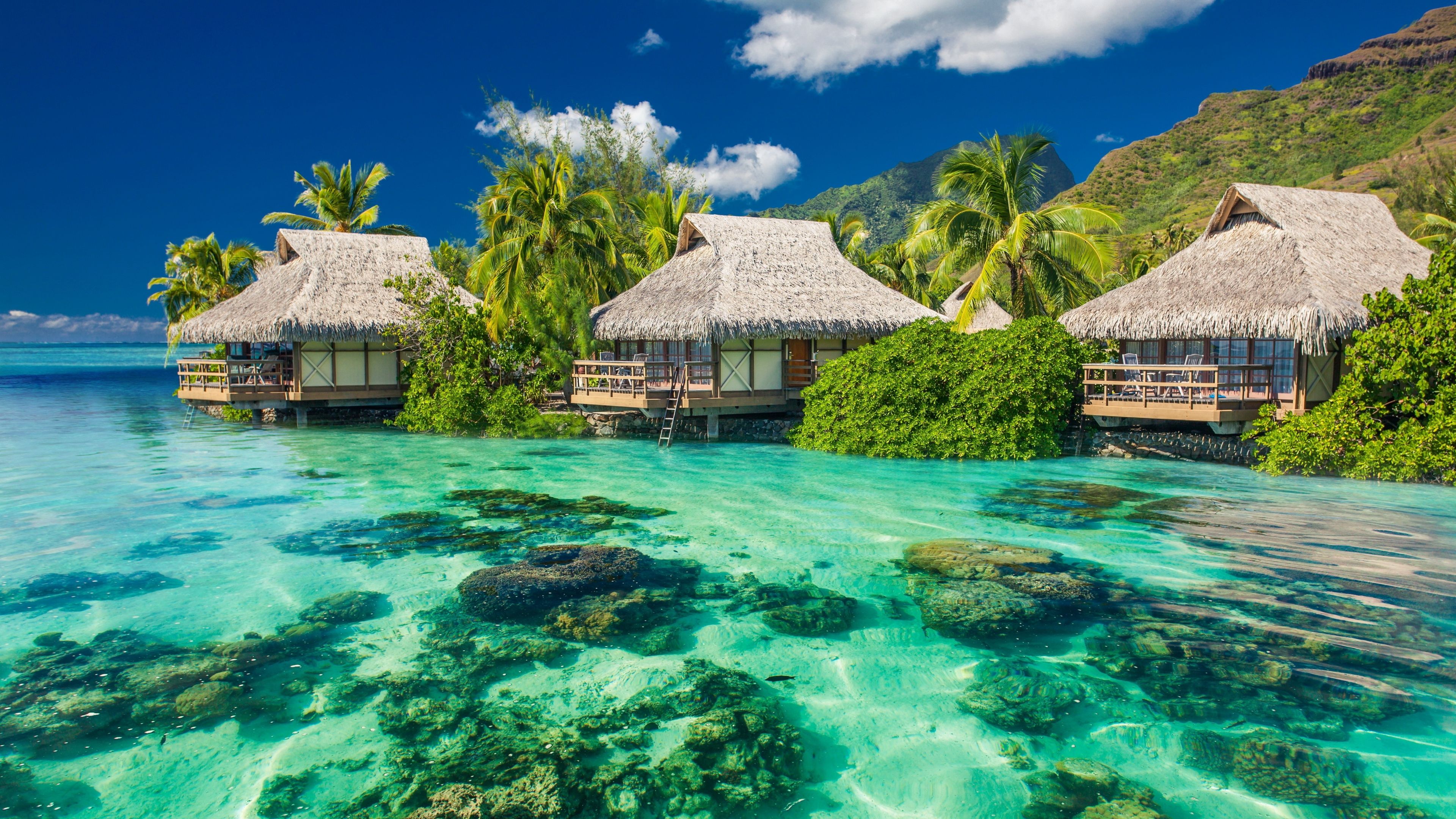 Hd Wallpaper Ultra HD Beach 4k HD Wallpaper
