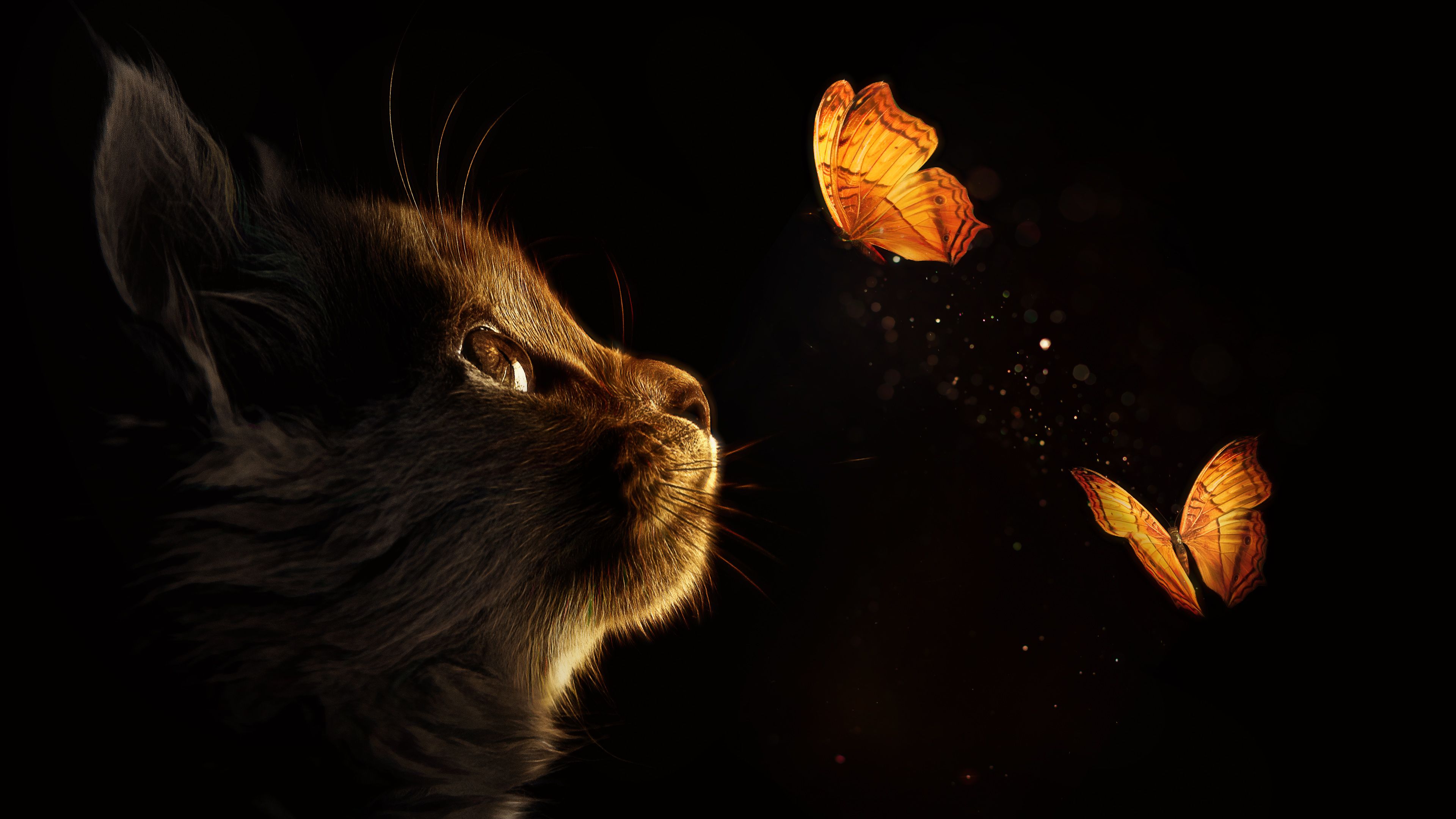 Kitten 4K Wallpaper, Cat, Butterflies, Black background, Glowing, Manipulation, Closeup, Animals