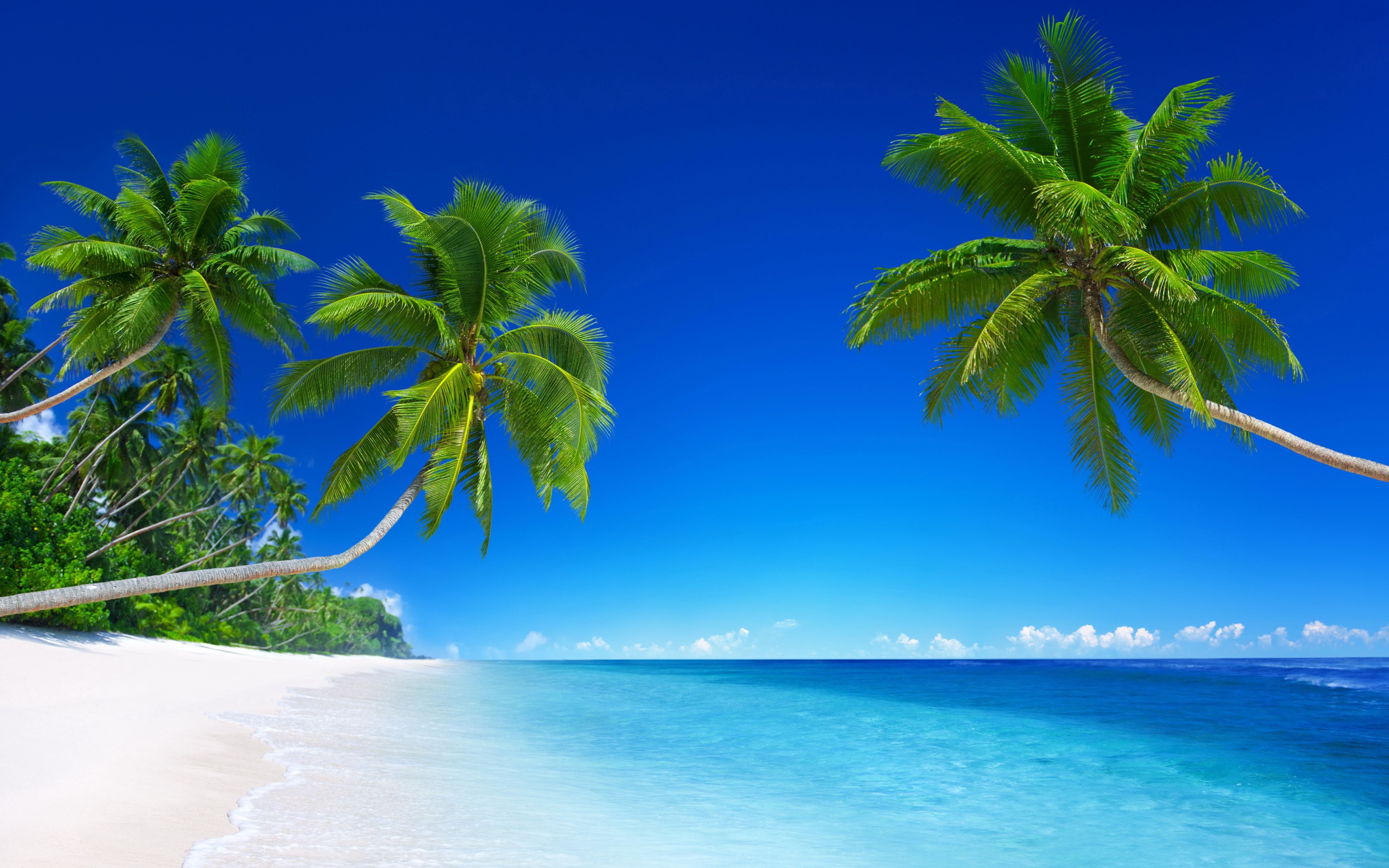Tropical Beach Paradise 5K Wallpaper Download Resolution 4K Wallpaper
