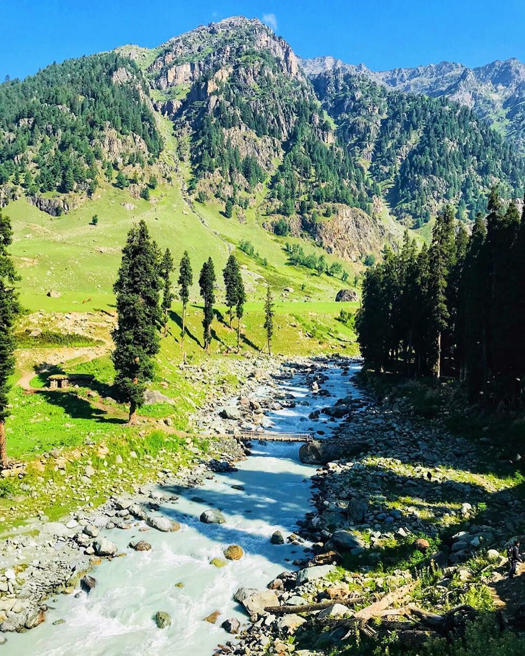 SURREAL mornings in Kashmir. Lidderwat valley Pahalgam.. . #wonderful_places #mountains #lonelyplanet #kashmir #beauti.. Nature, Natural landmarks, Nature beauty