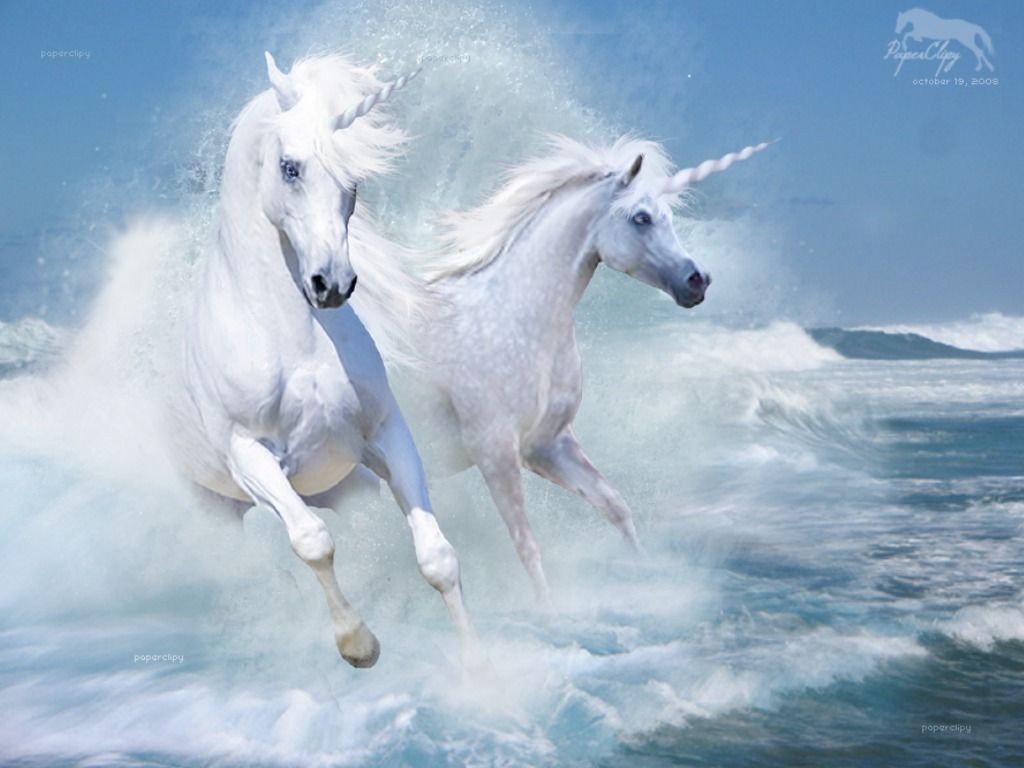 unicorns. Horse wallpaper, Horses, Unicorn and fairies