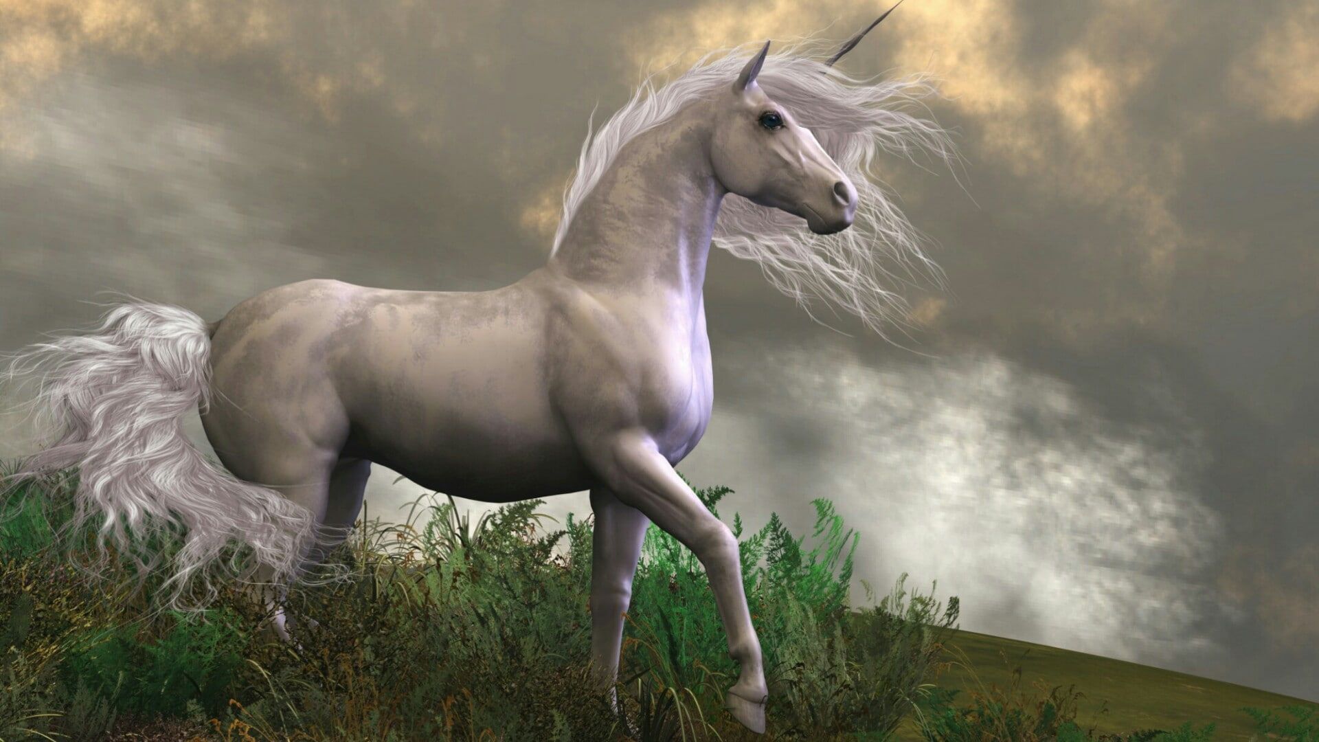 unicorn #horse #dreamland #dreamy fantasy art fairy tale fantasy land #romantic #grass #mane #sky #pasture. Fantasy art, Mythical creatures, Unicorn wallpaper