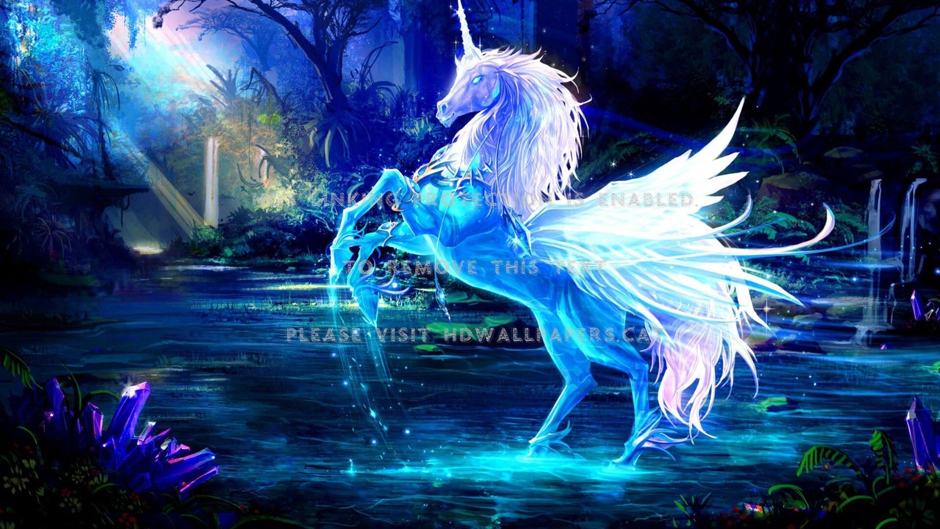 unicorn wings horse night abstract fantasy