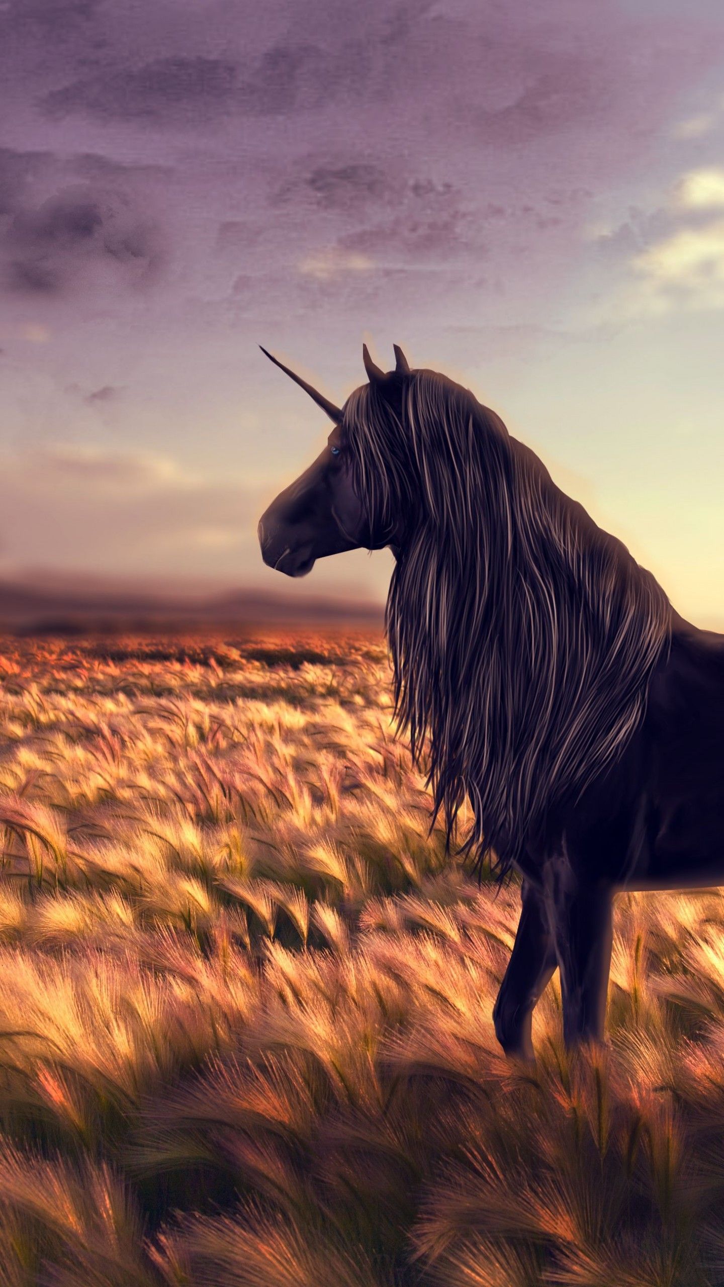 Wallpaper unicorn, horse, nature, black, Art