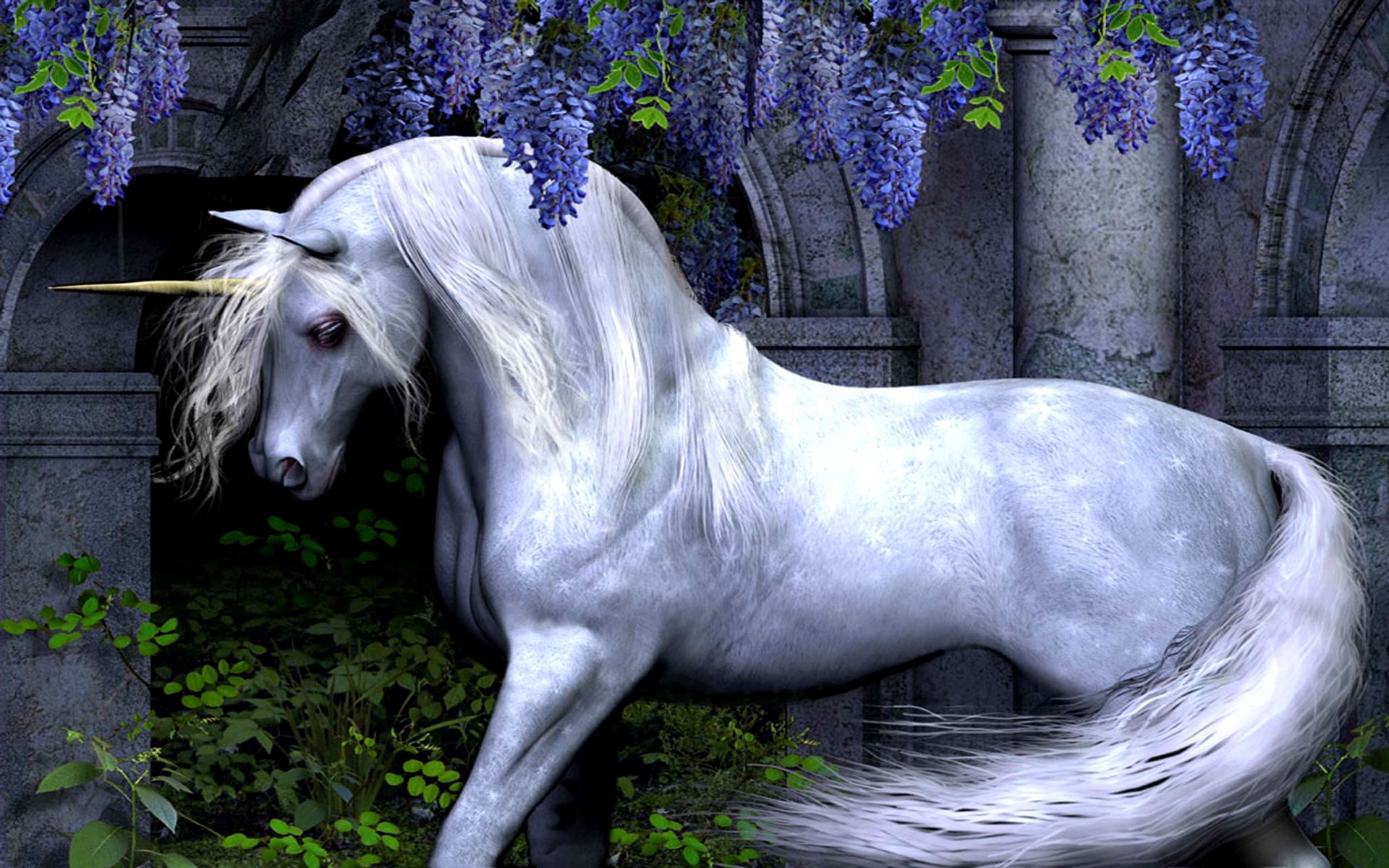 Beautiful Unicorn White Horse