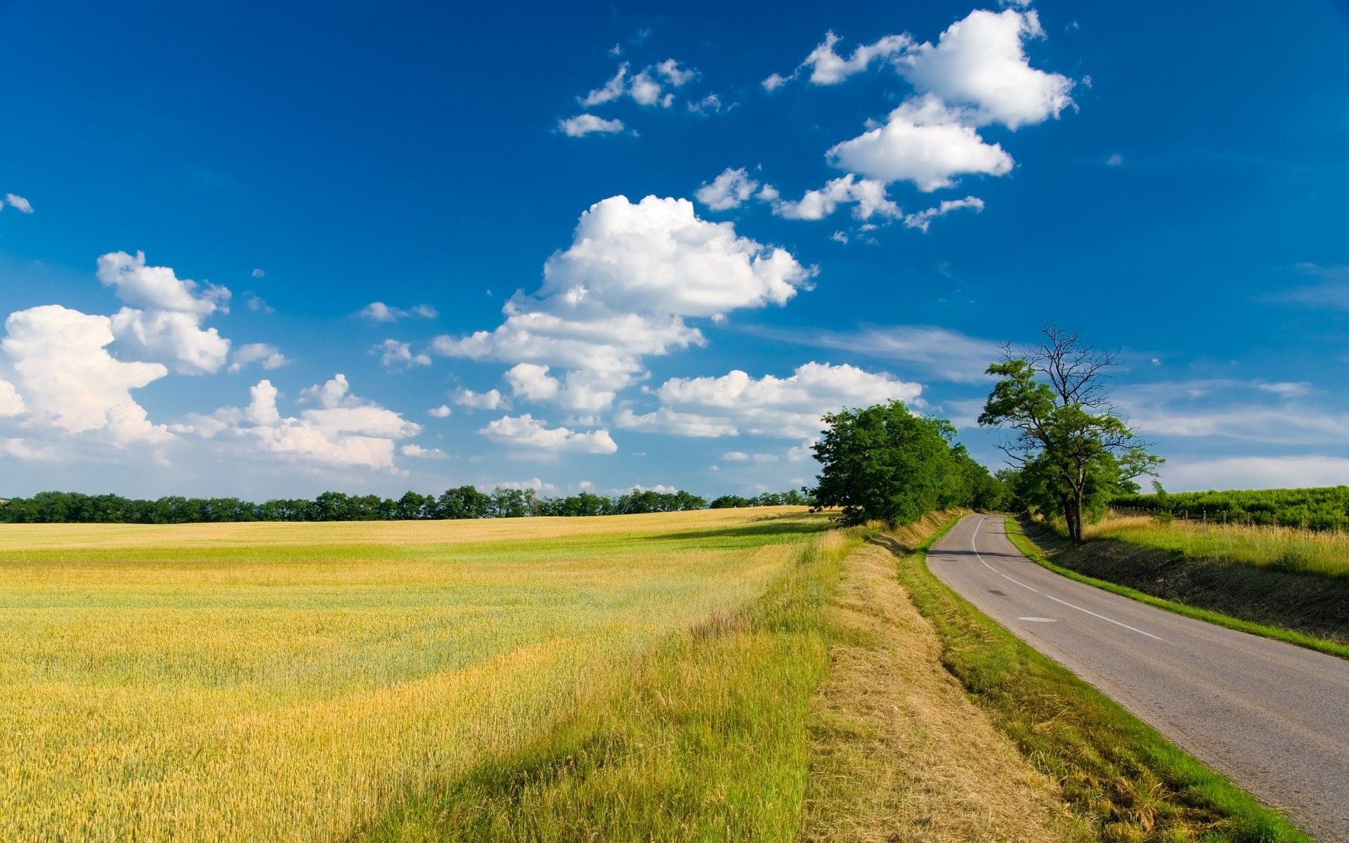 Country Road