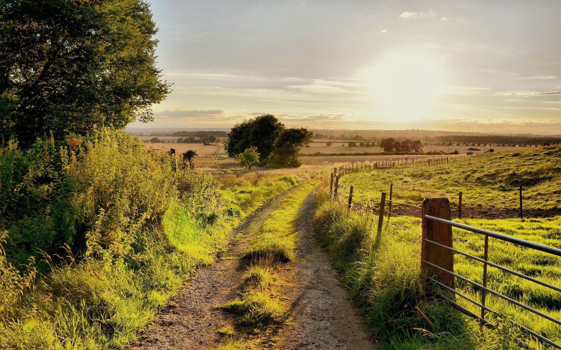 Download wallpaper heat, evening, summer, rural road, country road for desktop with resolution 1920x1200. High Quality HD picture wallpaper