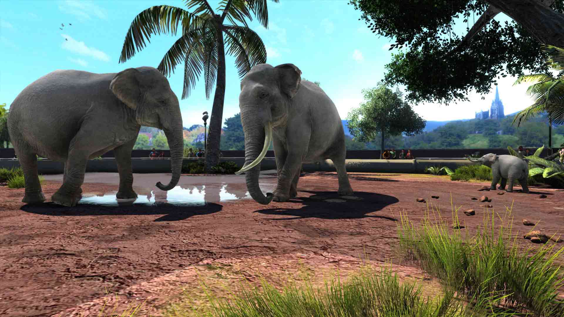 Zoo Tycoon: Ultimate Animal Collection Review