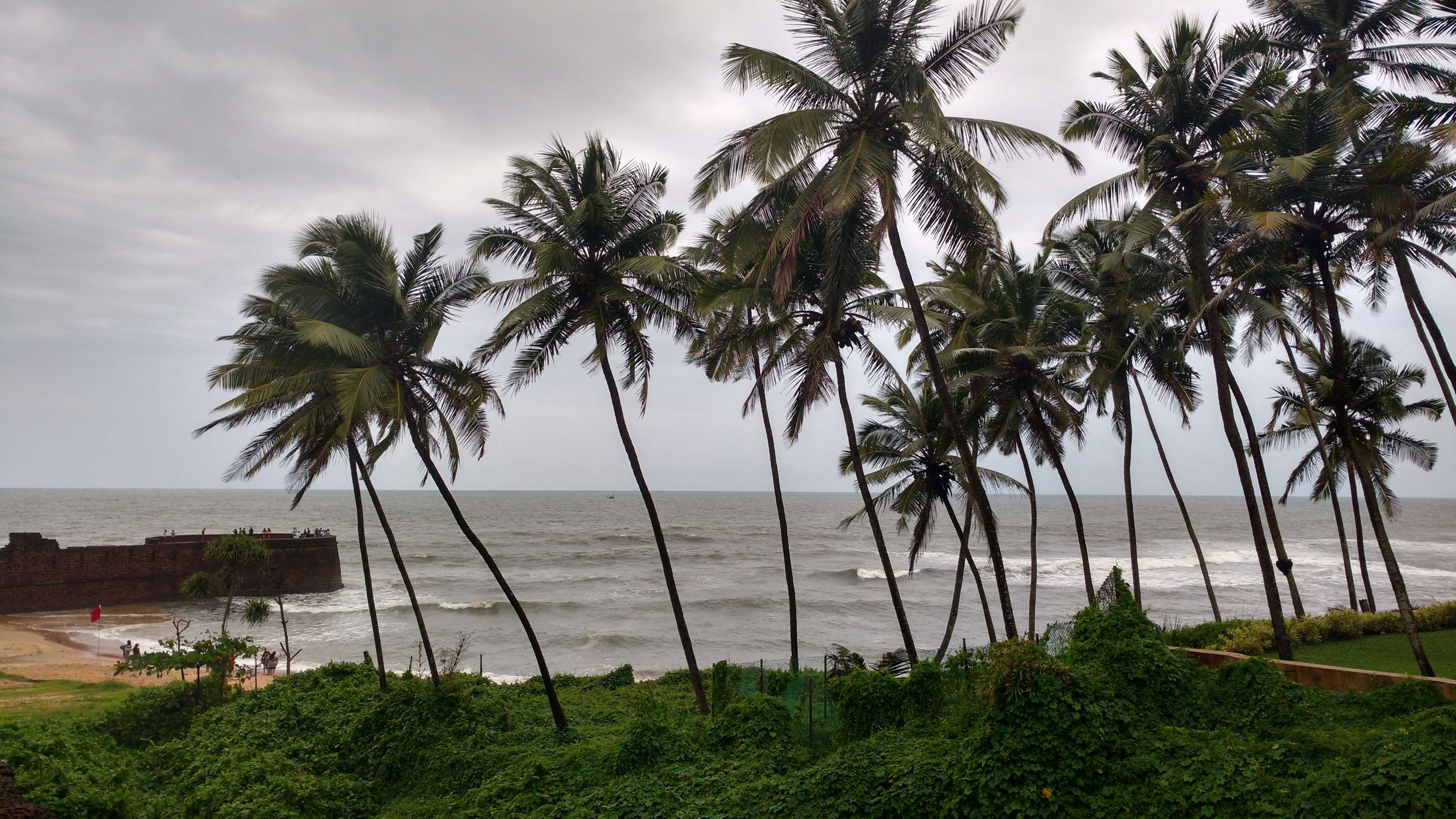3840x2160 beach, beach landscape, coconut tree, coconut trees, goa, india, indian, indian summer 4k wallpaper JPG 972 kB