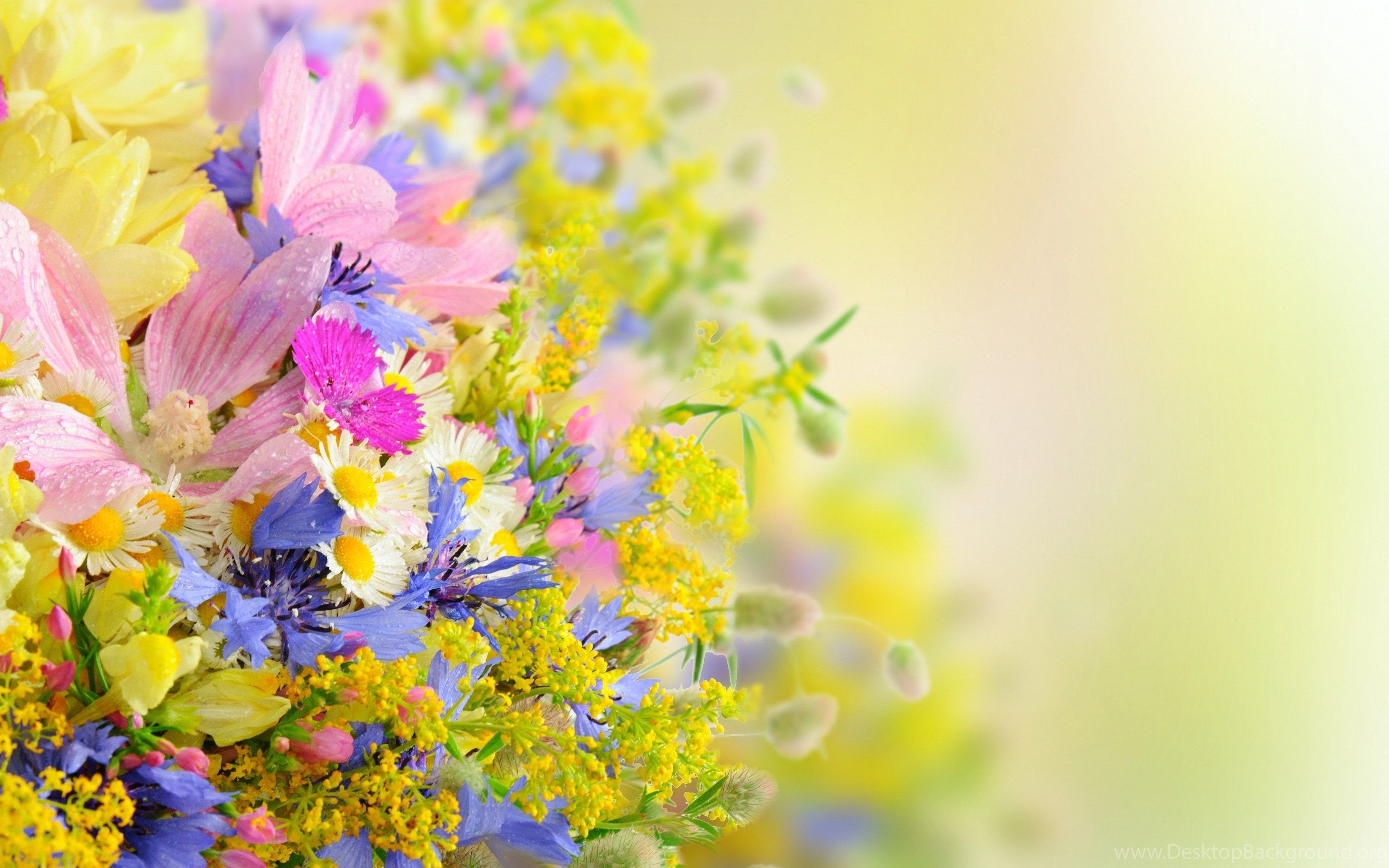 Pretty Flowers Wallpaper HD Wallpaper Desktop Wallpaper. Desktop Background