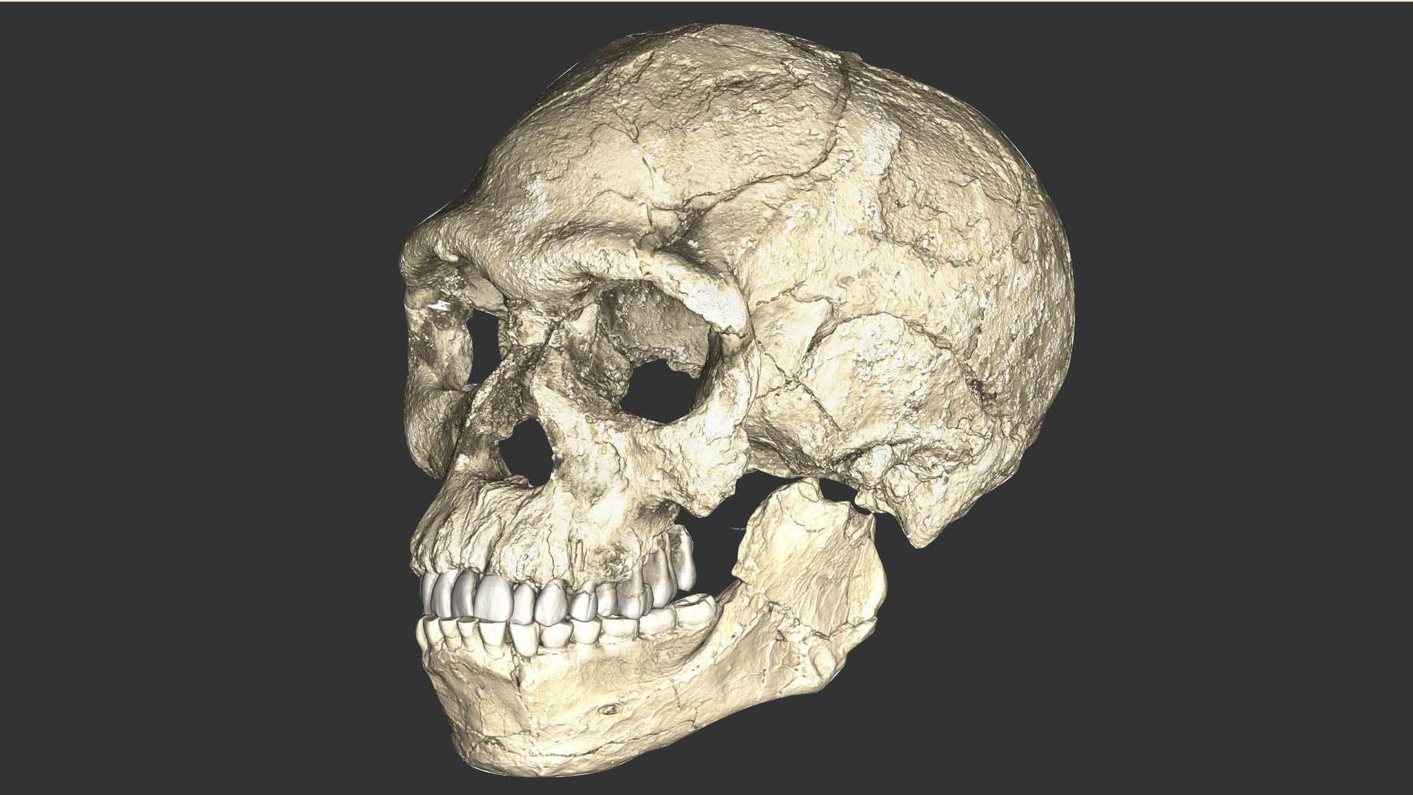 Homo sapiens 000 years older than thought