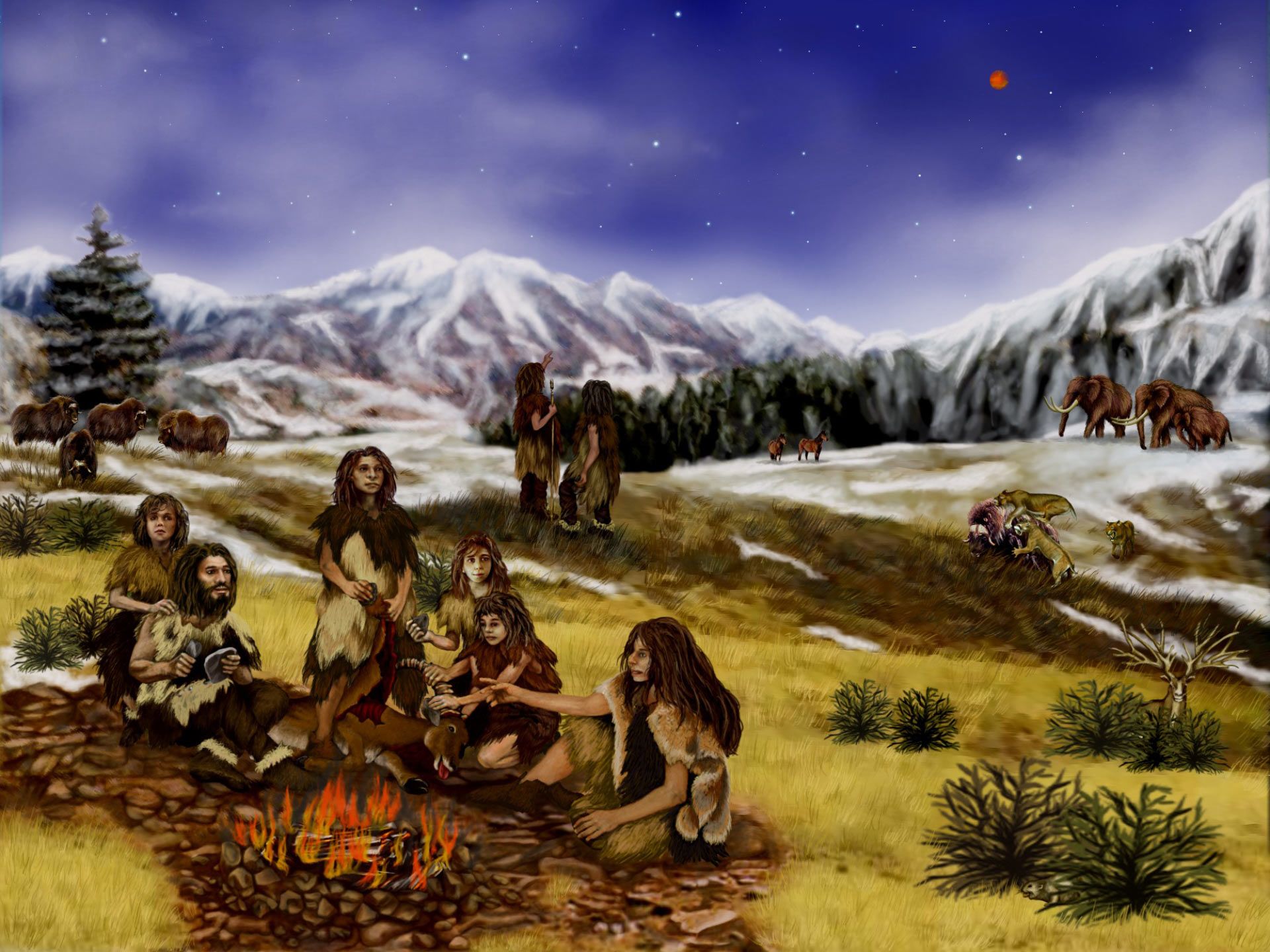 First European Homo sapiens Mixed with Neanderthals, DNA Study Shows. Anthropology, Genetics, Paleoanthropology