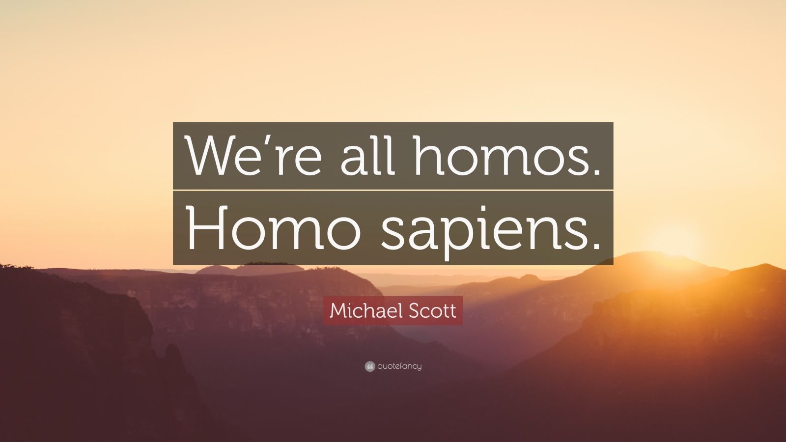 Michael Scott Quote: “We're all homos. Homo sapiens.”