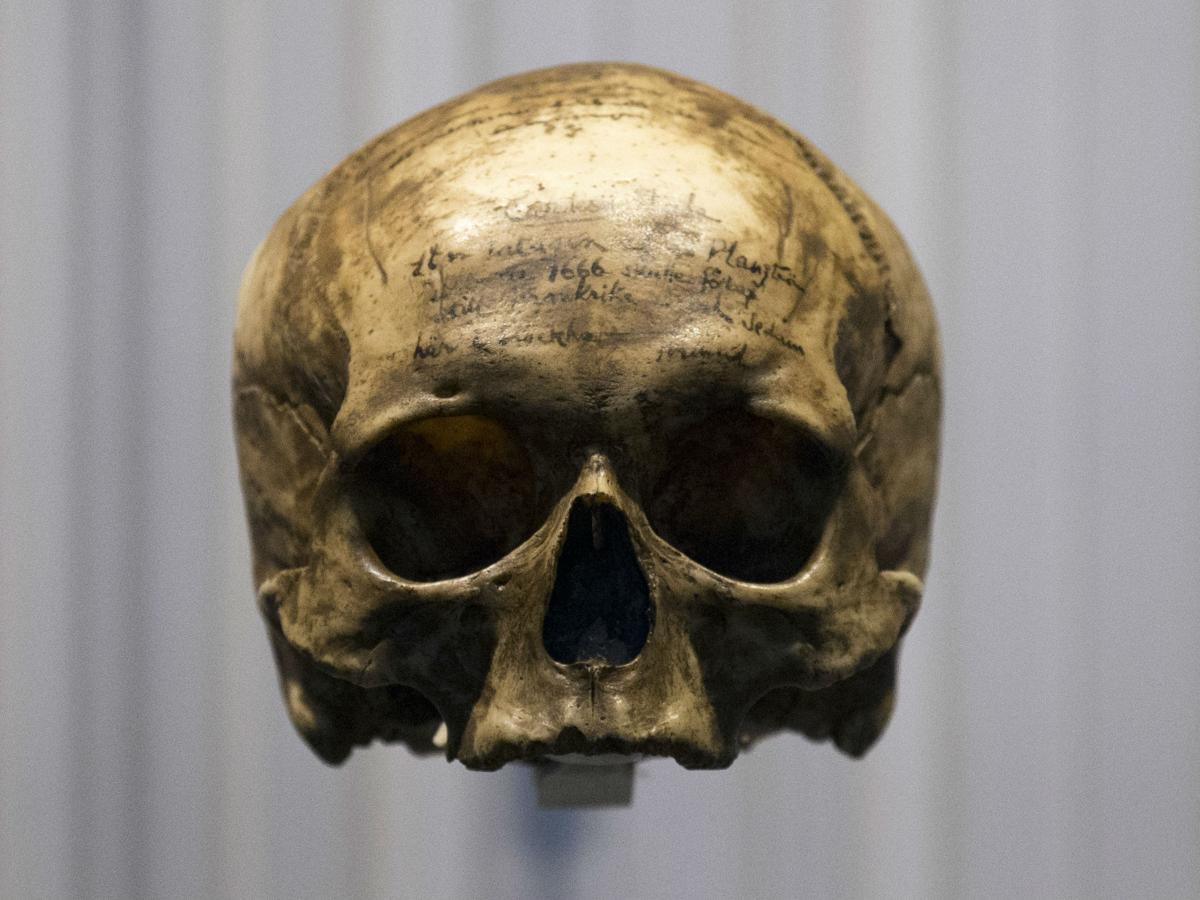 Social capabilities may have led early Homo sapiens to outlive Neanderthals