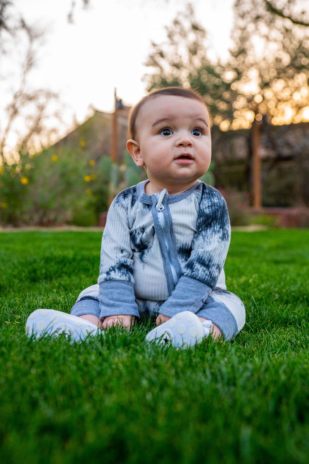 Baby Boy Picture [HD]. Download Free Image