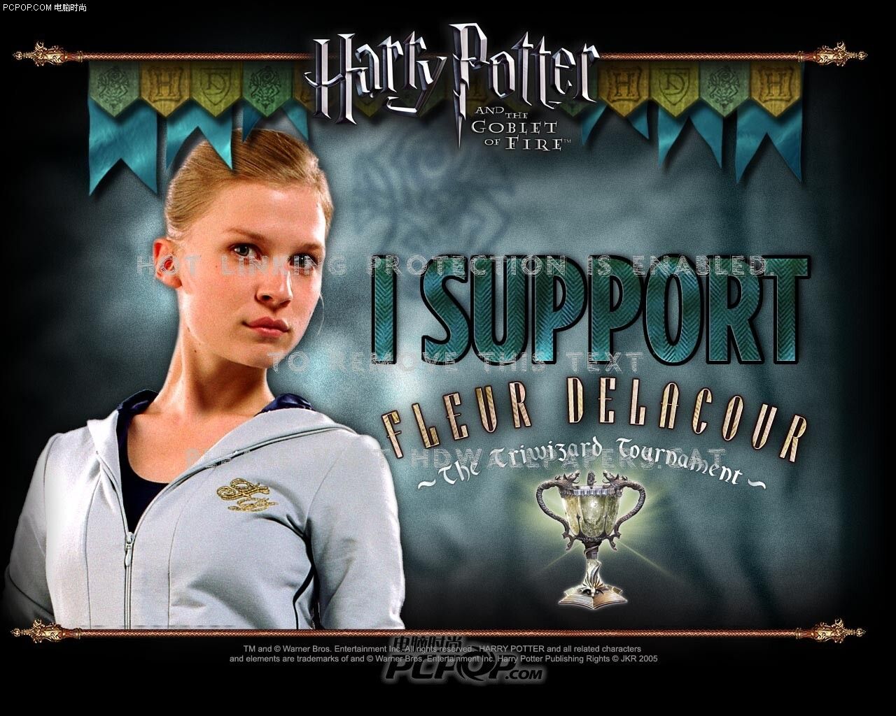harry potter fleur delacour yhtrd yhrgdf