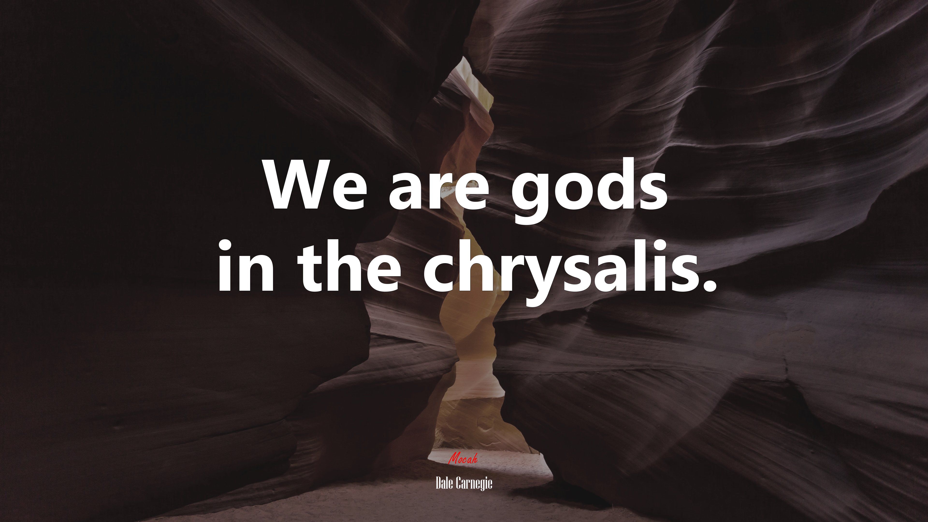 We are gods in the chrysalis. Dale Carnegie quote, 4k wallpaper. Mocah HD Wallpaper