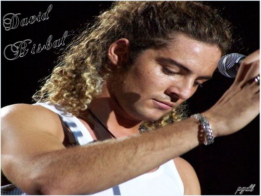 David Bisbal BISBAL PASSION GITANA wallpaper