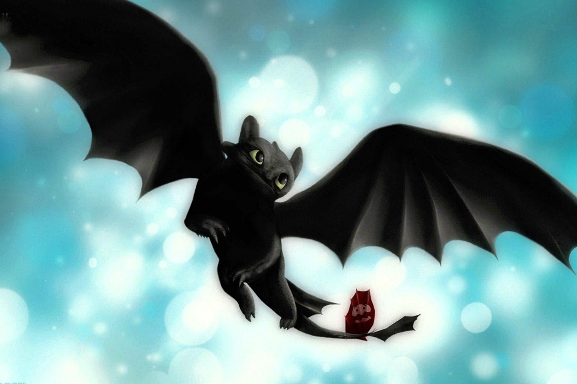 Toothless Dragon Wallpaper Free Toothless Dragon Background