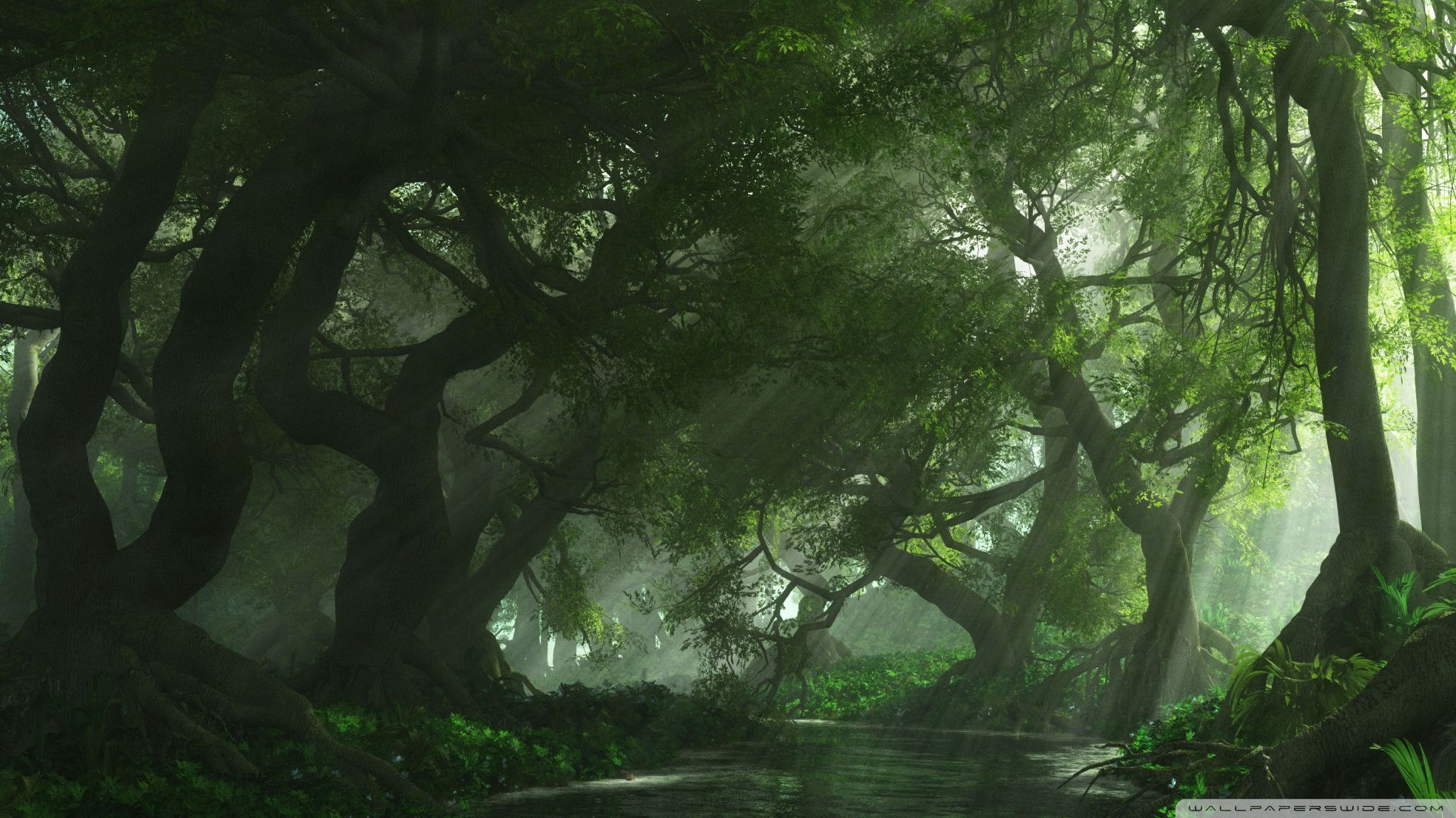 Anime Forest Wallpaper Free Anime Forest Background