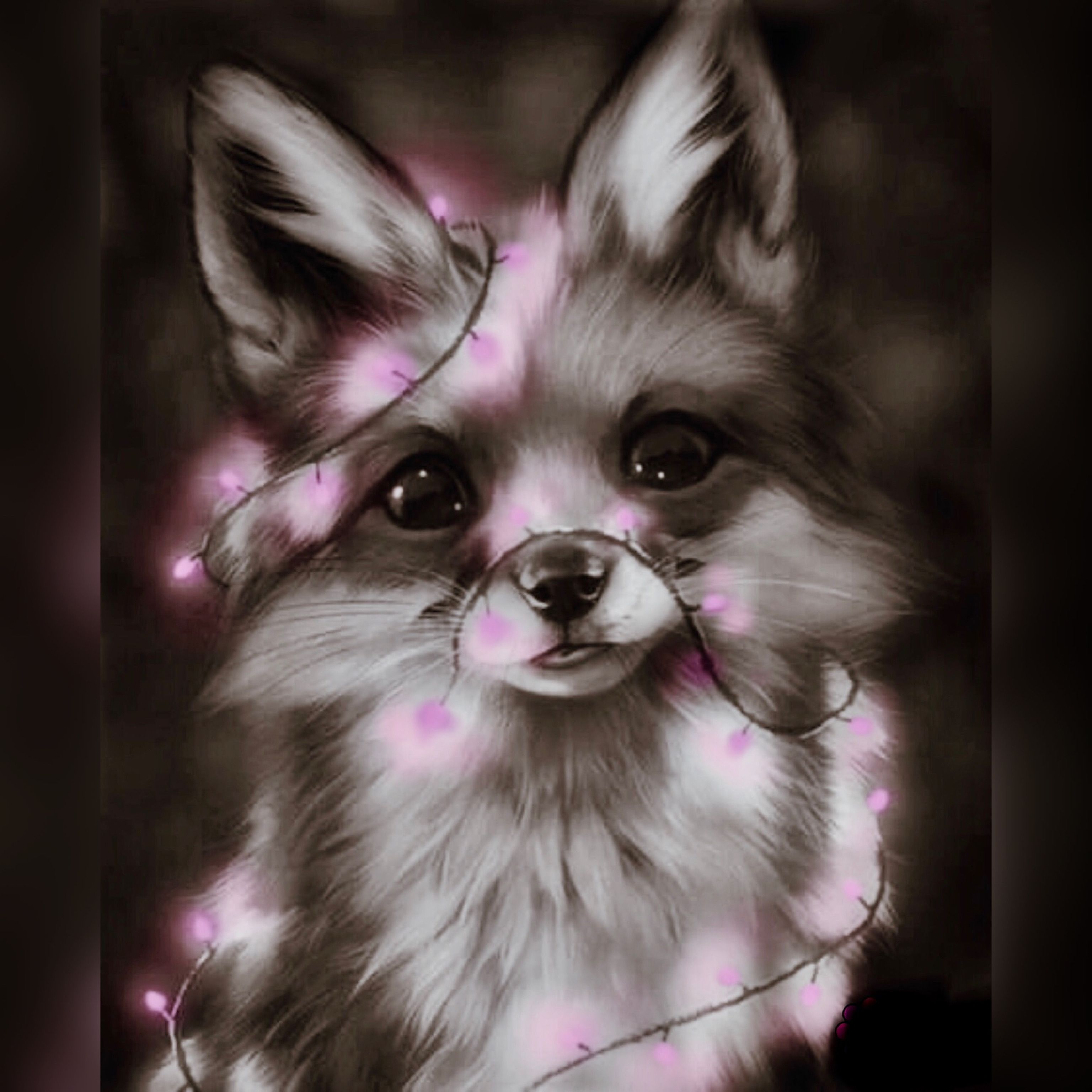 Foxes. Cute dog picture, Cute wild animals, Cute animal drawings