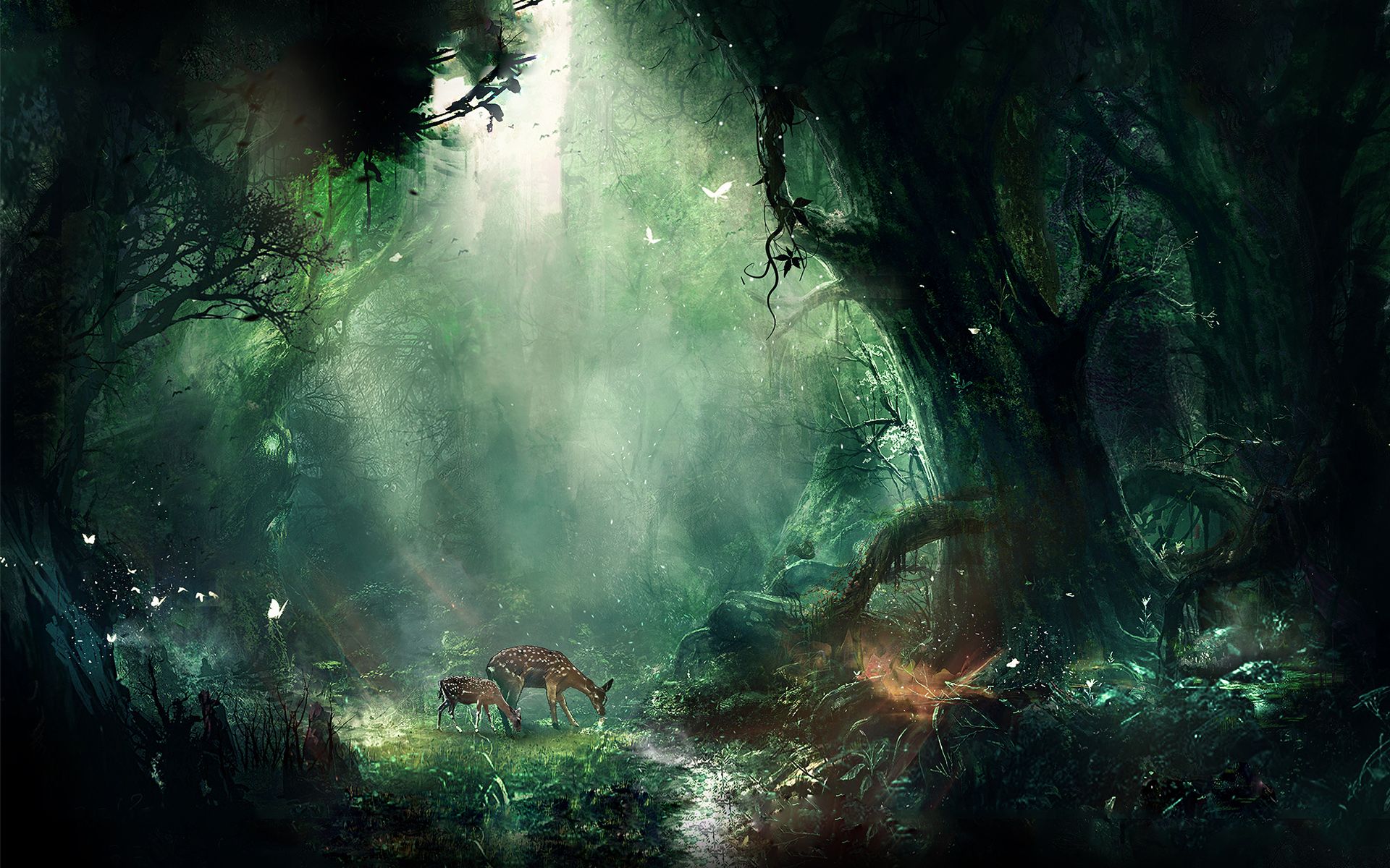 Jungle HD Wallpaper