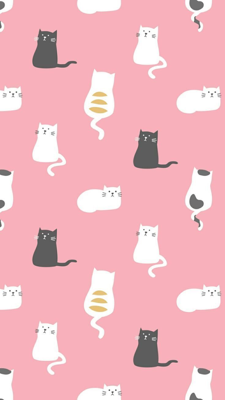 Kawaii Cat Cartoon iPhone Cat Wallpaper