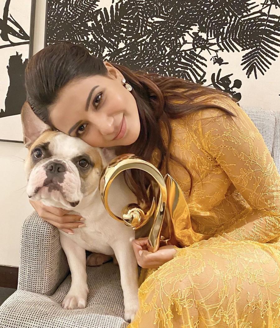 Samantha Looking Hot In Yellow See Through Dress, Image, Gallery