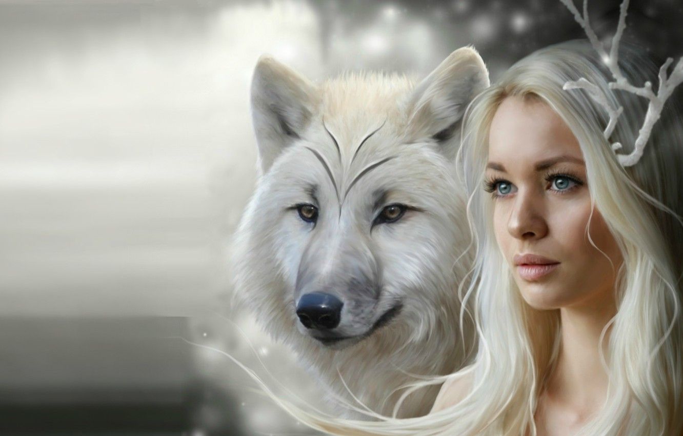 Game Of Thrones Wolf Wallpapers Wallpaper Cave