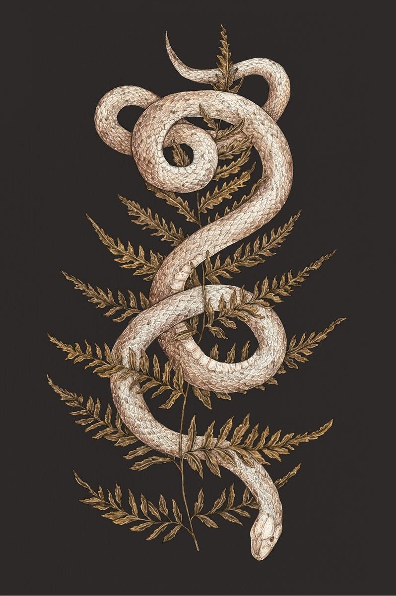 Snake iPhone Live Wallpaper - Download on PHONEKY iOS App