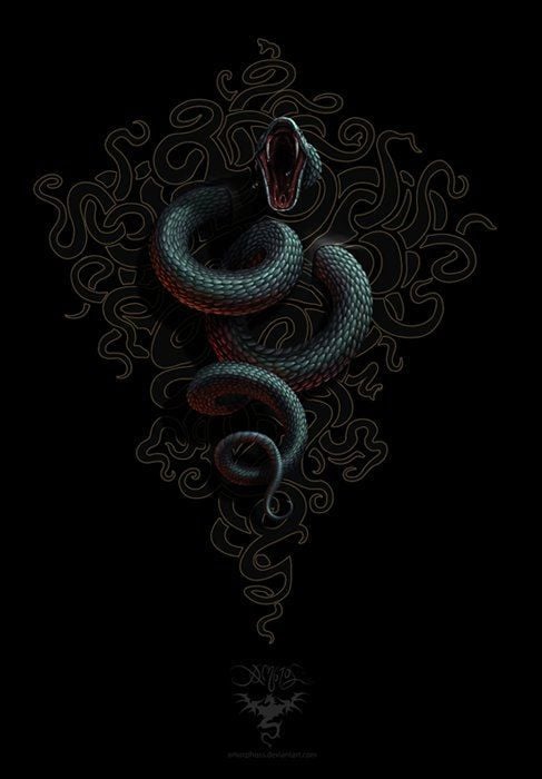 50 High-Quality Snakes Wallpapers - WPArena