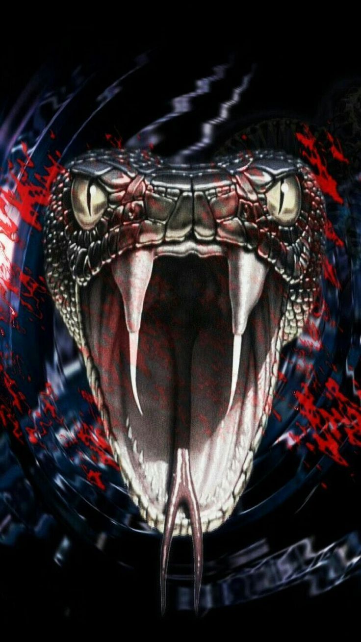 Scary Snake Wallpaper Free Scary Snake Background