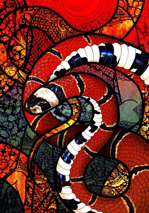 Best Snake wallpaper ideas. snake wallpaper, snake, snake art