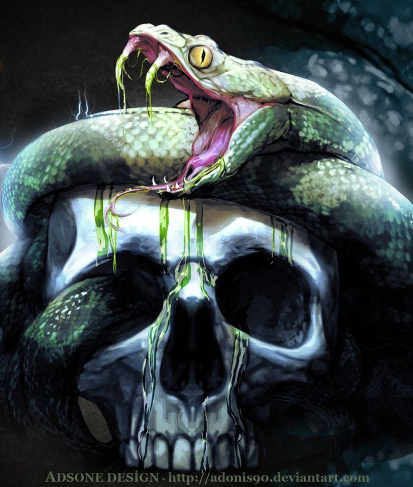 Skull and Snake Wallpaper