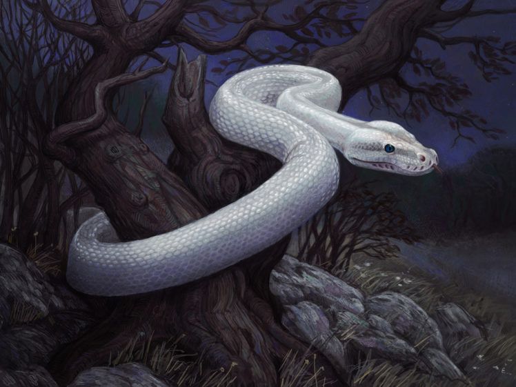 fantasy, Snakes, Art, Artistic, Dark, Landscapes, Creepy Wallpaper HD / Desktop and Mobile Background
