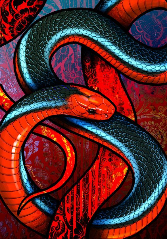 Mangrove Pit Viper by CulpeoFox on DeviantArt  Cobra art Snake painting Snake  wallpaper