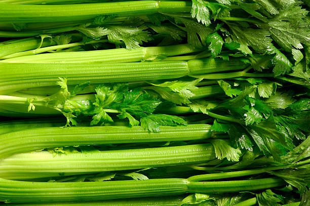 95,162 Celery , Picture & Royalty Free Image