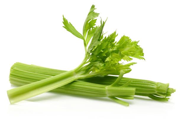 95,162 Celery , Picture & Royalty Free Image