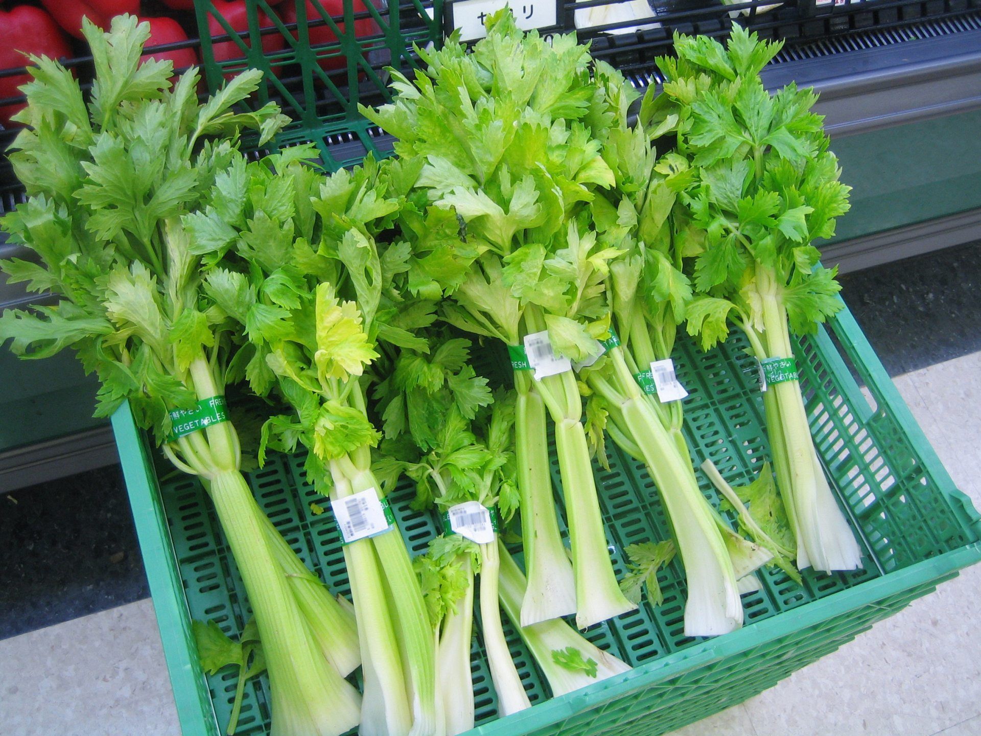celery-wallpapers-wallpaper-cave